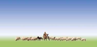 155510  Пастух с овцами и собакой