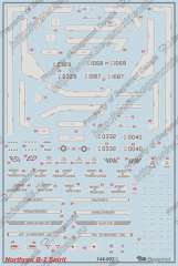 BegemotDecals144-002 Декаль для Нортроп В-2А 1/144