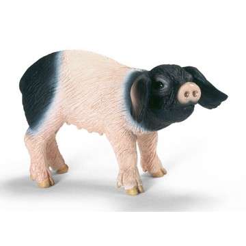 SCHLEICH13636 Швабская свинья