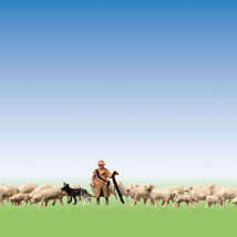 158051 Пастух с овцами и собакой   1/220