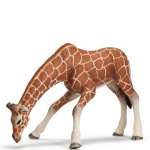 SCHLEICH14390 Самка жирафа, пьет
