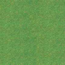 170736 Травяное волокно, зеленый, 300г.